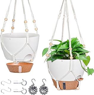Self-Watering Hanging Planters with Water Window